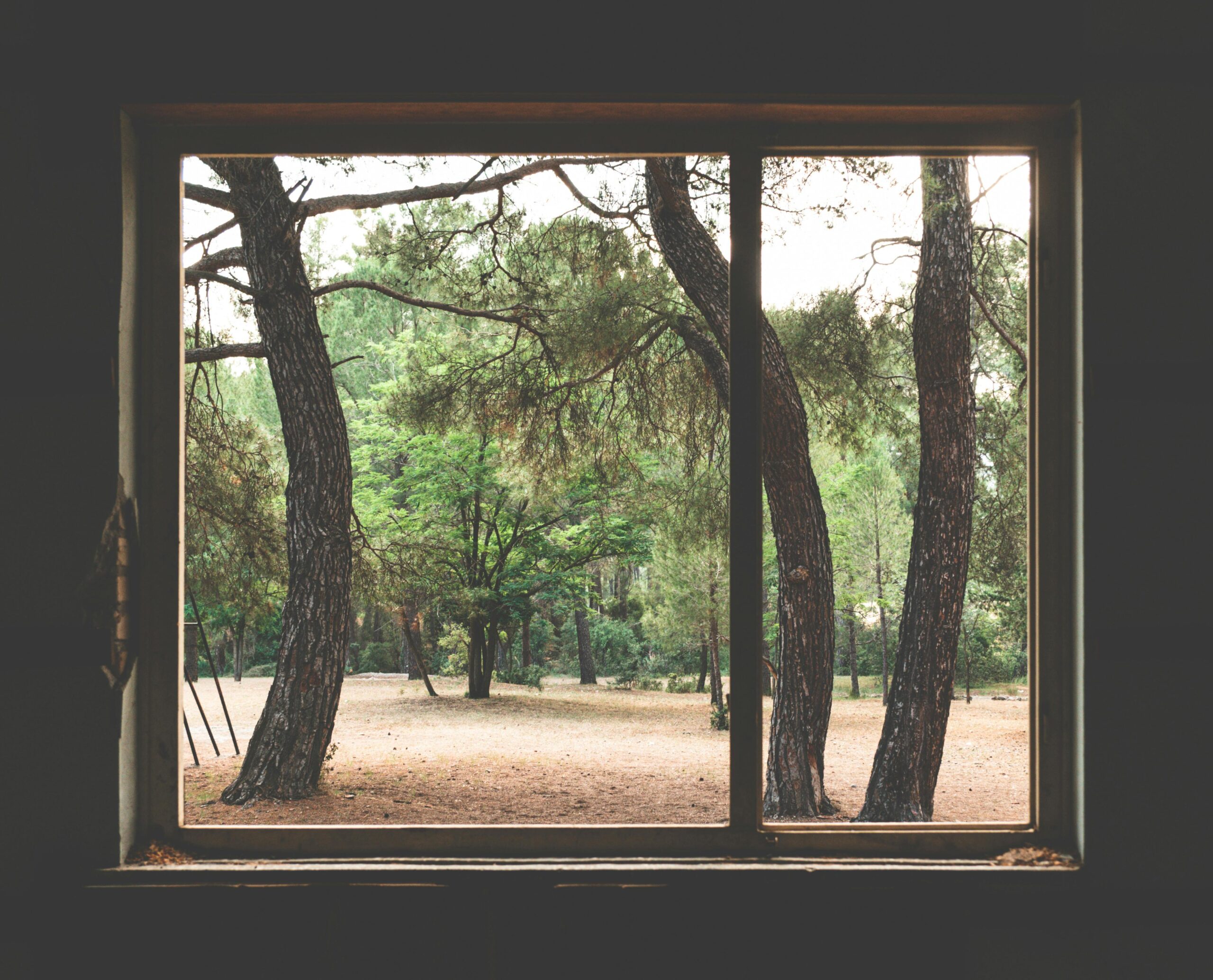 Large Picture Window 3