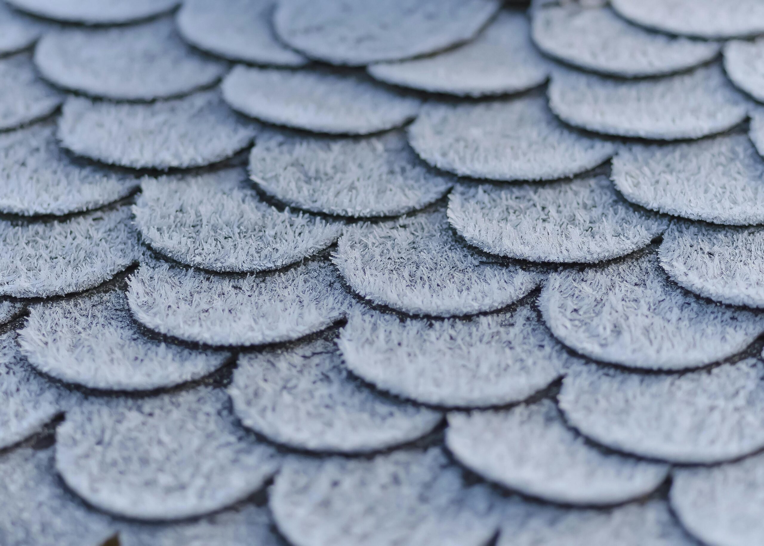 Granule retaining close up shingle details