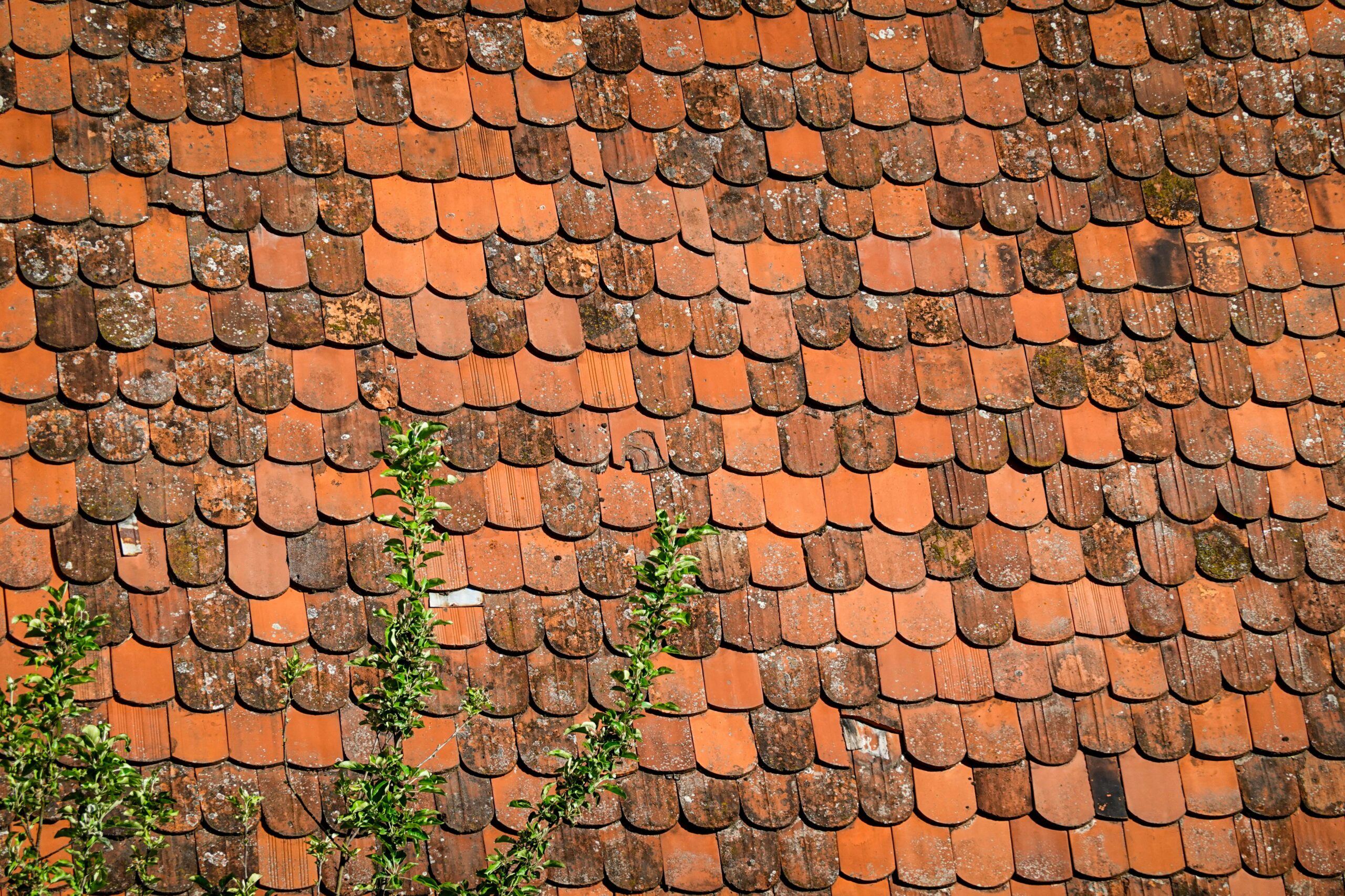 Clean cottage roofing